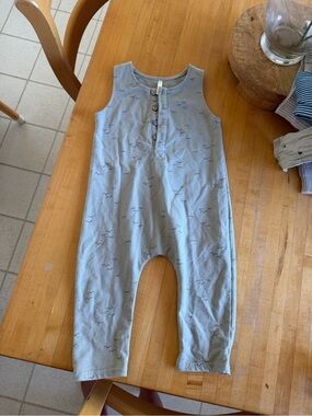 Light Blue Rylie + cru 18 month Romper with Seagull Print